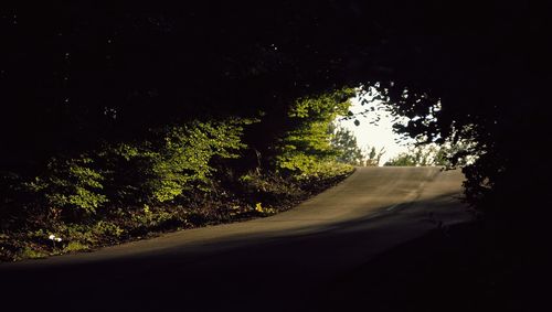 Road amidst trees against sky