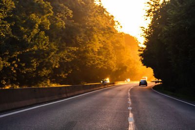 Cars on road by trees against sky during sunset