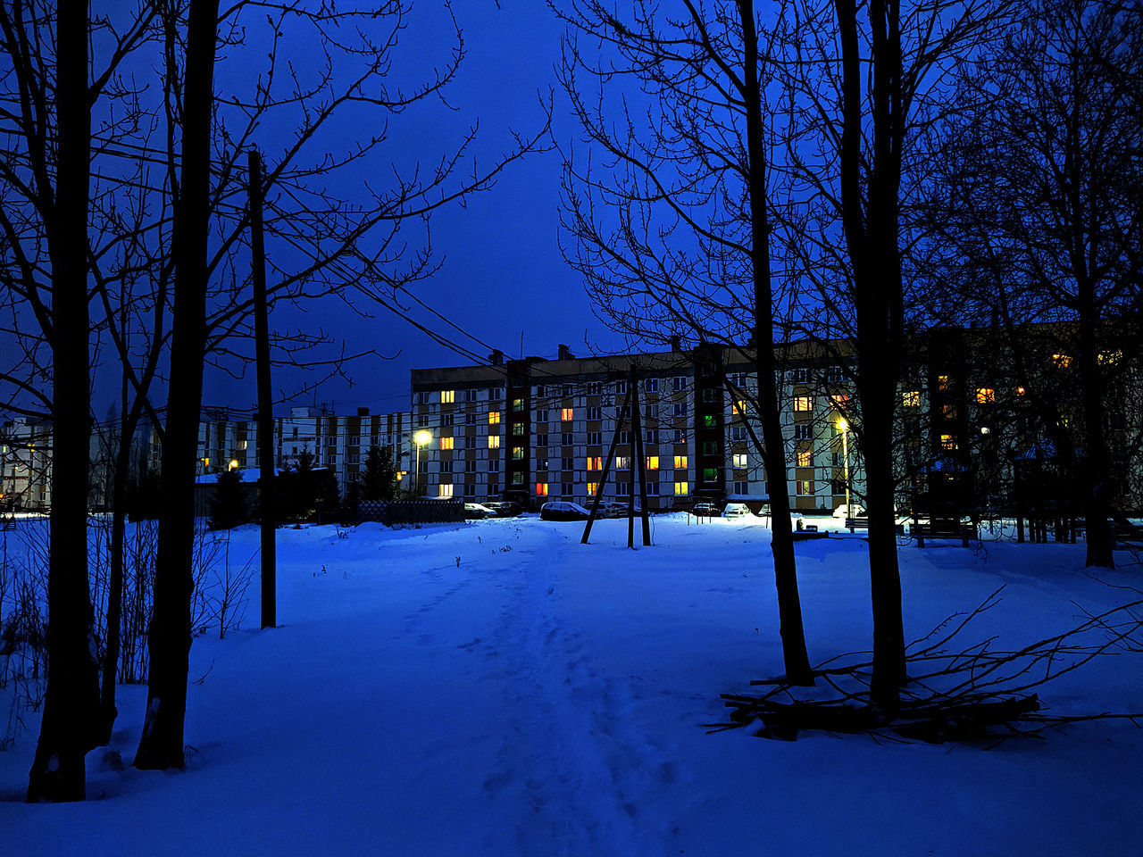 snow, winter, cold temperature, tree, bare tree, night, evening, architecture, plant, nature, illuminated, building exterior, built structure, no people, dusk, city, sky, freezing, light, frozen, outdoors, beauty in nature, building, tranquility, street, covering, scenics - nature, blue, environment, reflection, branch