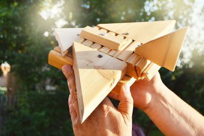 Close-up of a man's hand holding a wooden toy homemade airplane against a background of trees, light