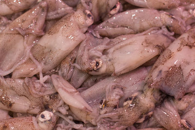 Full frame shot of fish for sale in market