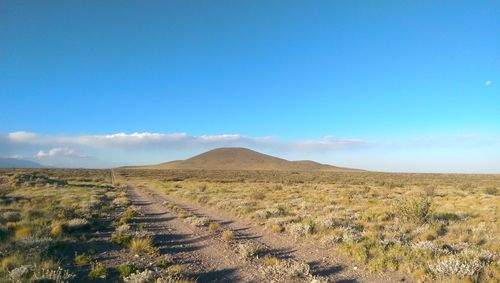 Scenic view of landscape against blue sky