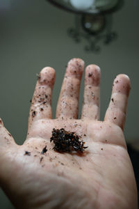 Cropped hand of person holding dirt 