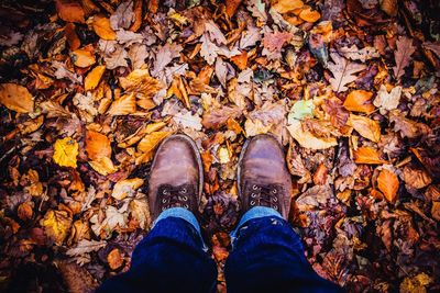 Low section of man standing on autumn leaves