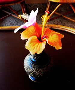 Close-up of yellow flowers