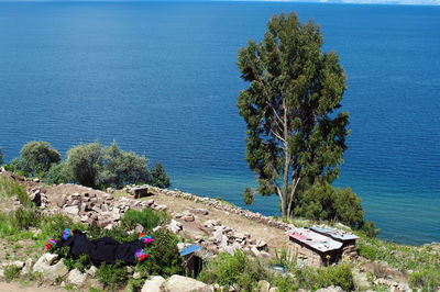 High angle view of trees by sea