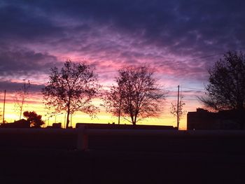 Silhouette of trees at sunset