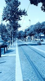 Empty road along trees