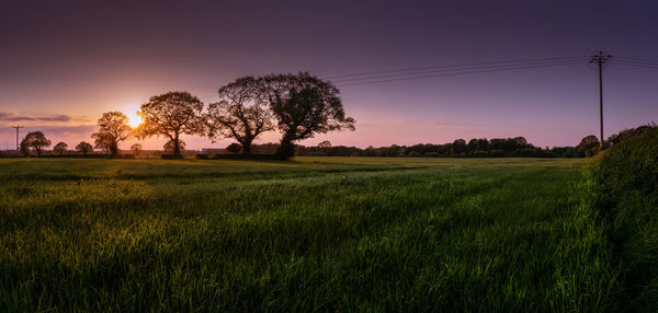 Scenic view of field against sky during sunset