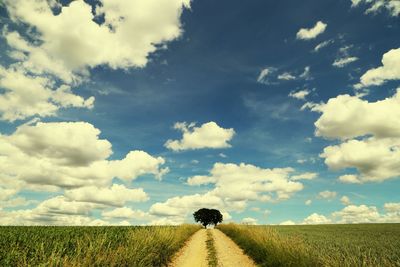 Scenic view of agricultural field against sky