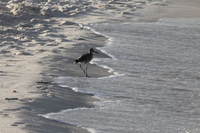 Waves breaking on shore