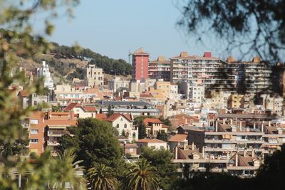 Buildings in city