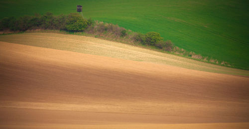 Scenic view of agricultural field