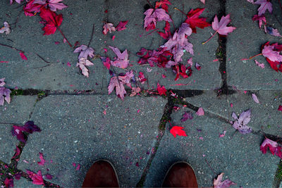Low section of man standing on pink leaves over paving stone