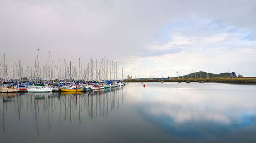 Sailboats moored in harbor against sky