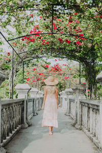 Rear view of woman walking on footpath with red flowers