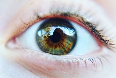 Extreme close up of human eye