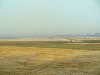 Scenic view of field against clear sky
