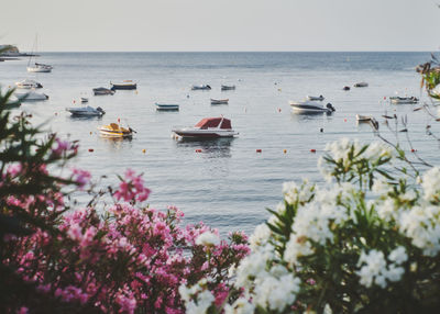 Scenic view of harbour against sky