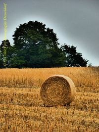 Hay bales on field against sky