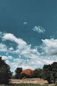 Scenic view of land against blue sky