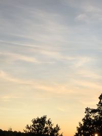 Low angle view of silhouette trees against sky during sunset