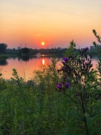 Scenic view of lake against sky during sunset