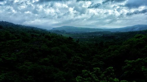 Scenic view of forest against sky
