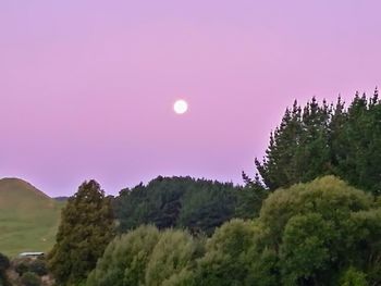 Scenic view of green landscape against sky