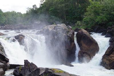 River flowing through rocks in forest