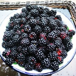 Close-up of strawberries in bowl