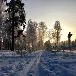 Trees on snow covered field against sky