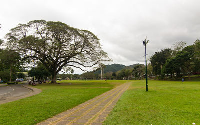 Road by trees against sky