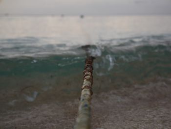 Driftwood on beach against sea