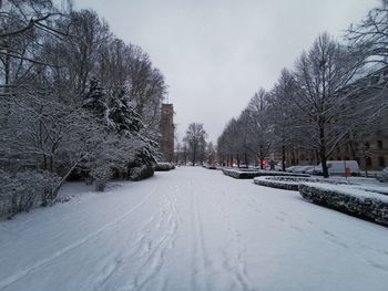 Snow covered road amidst trees against sky