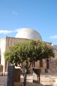 Plants growing outside temple against building