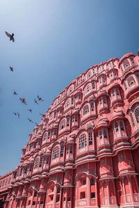 Low angle view of birds flying against sky