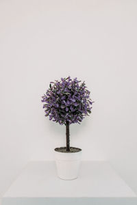 Close-up of flower vase on table against white background