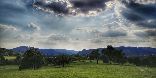 Scenic view of field against sky
