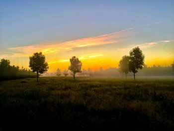 Trees on field against sky during sunset