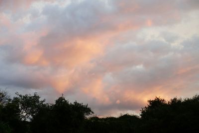 Low angle view of cloudy sky