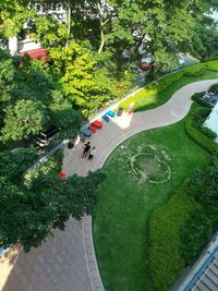 Plants growing on tree trunk