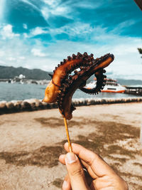 Close-up of hand holding street food grilled octopus stick on beach