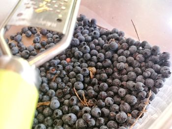 High angle view of fruits in container