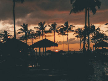Silhouette palm trees on beach against sky during sunset