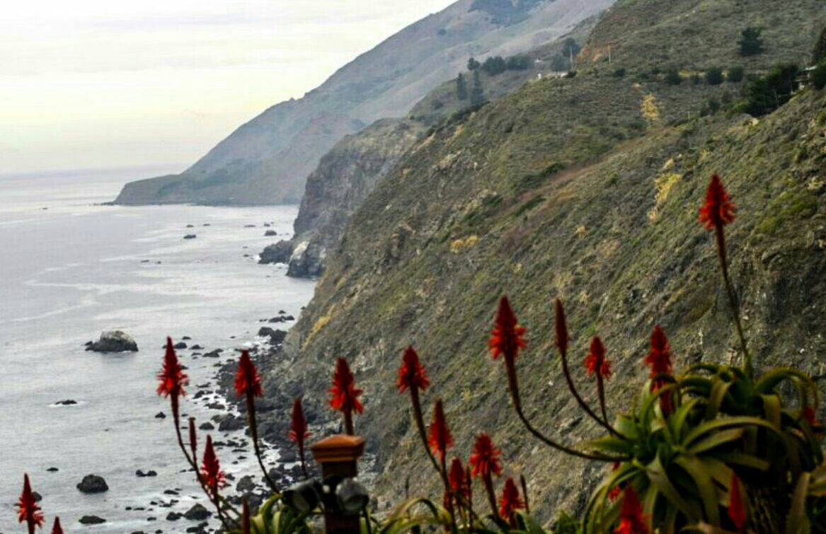 sea, water, beach, beauty in nature, tranquil scene, tranquility, horizon over water, scenics, nature, mountain, shore, sky, plant, idyllic, growth, coastline, sand, remote, outdoors, non-urban scene