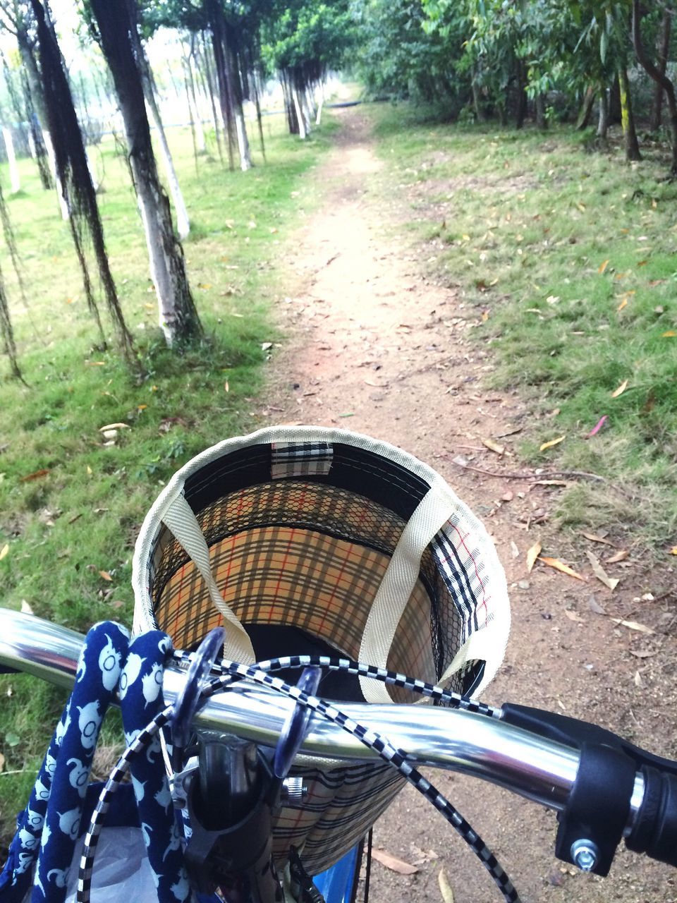 tree, transportation, absence, mode of transport, empty, the way forward, metal, land vehicle, day, bicycle, tree trunk, no people, stationary, forest, outdoors, seat, growth, park - man made space, footpath, nature