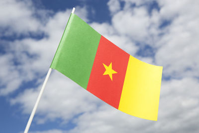 Cameroonsflag
