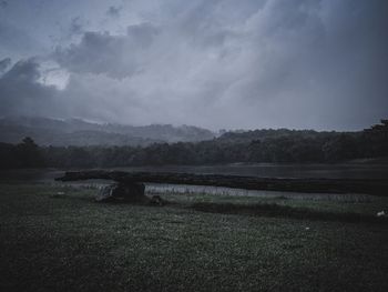 Scenic view of field against sky