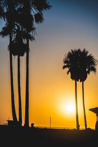 Silhouette palm trees against sky during sunset